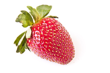 Fresh Organic Strawberry