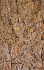 soil colour and textures