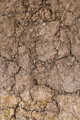 soil colour and textures