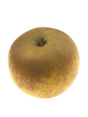Russet Apple