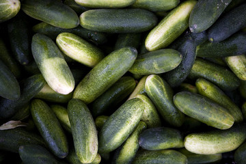 Cucumbers