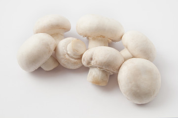 White edible mushrooms isolated on the gray background