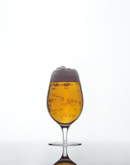 Glass of Beer