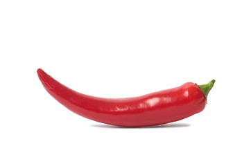 Red chili pepper