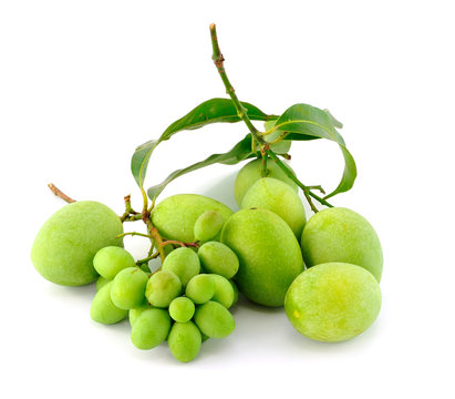 Marian plum or maprang isolated on white background