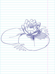 Lotus flower sketch