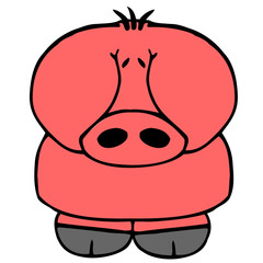 Fototapeta premium schwein