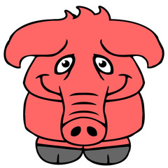 schwein