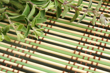 Fresh marjoram herb on a bamboo background