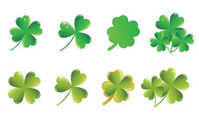 vector shamrock collection