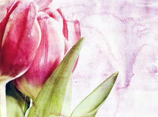 Red tulips over grunge painted background © erika8213