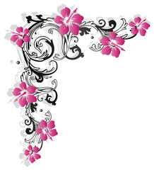 Hibiskus, hibiscus, Ranke, flora, Blumen, pink © christine krahl