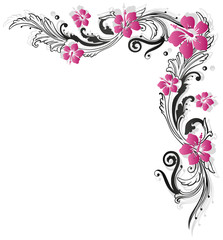 Plakat Hibiskus, hibiscus, Ranke, flora, Blumen, pink