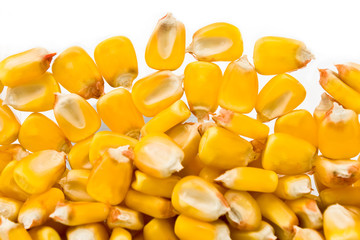 Corn beans background