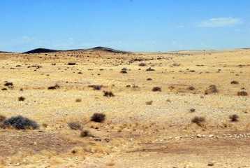 Fototapeta na wymiar Desert Namibie97