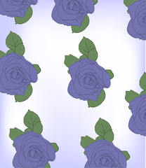 blue rose flower background