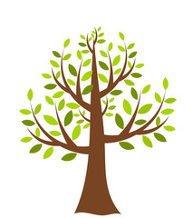 Fototapeta na wymiar Tree illustration