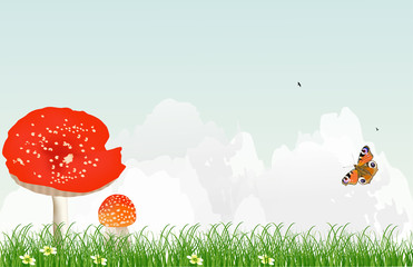 red fly-agaric under blue sky