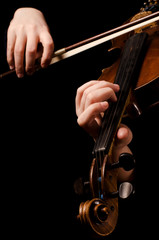 Female hands play a violin on the black
