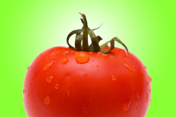 Fresh Red tomato against gradient