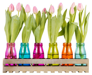Rosane Tulpen in bunten Gläsern
