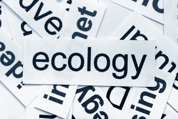 Ecology word cloud © alexskopje