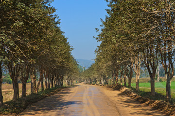 Road in countryside