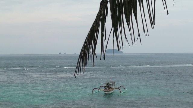 Snorkeling from a bot in a beautiful bay