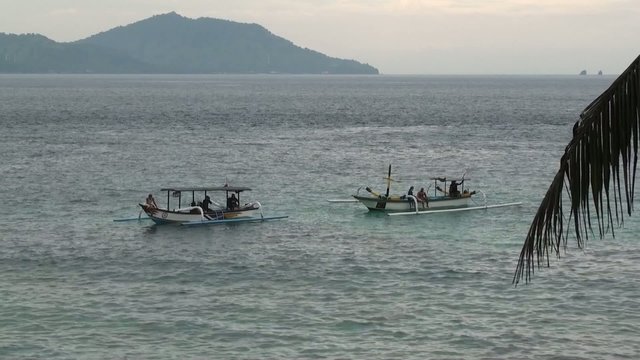 Snorkeling from a bot in a beautiful bay