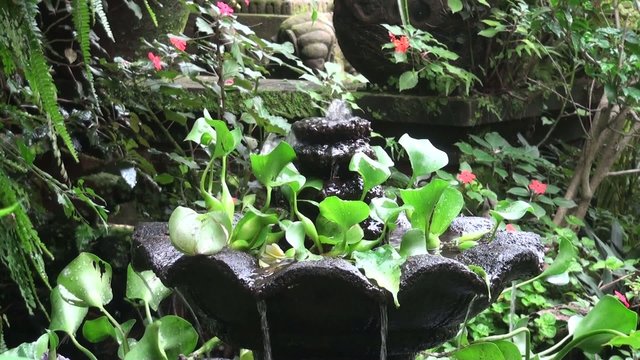 Antique fountain in the deep jungle