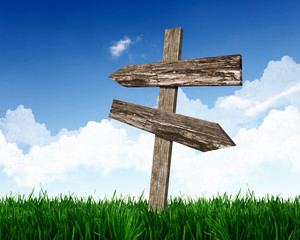 Blank road signs against blue sky