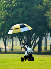 Golf bag on trolley - 39195956