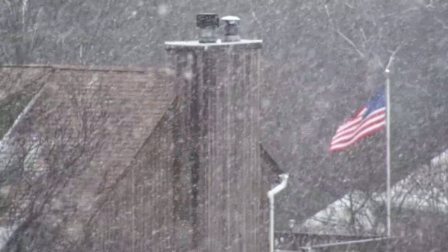 Snowy , trees and US flag on the background