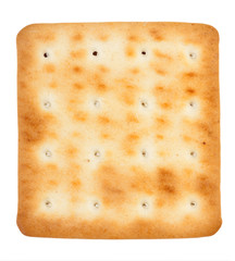 One of biscuits
