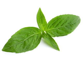 Obraz premium Basil isolated on white background