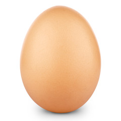 Brown egg isolated on white background + Clipping Path