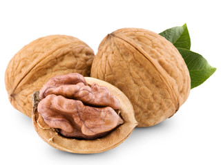 Walnut isolated on white background. Studio macro