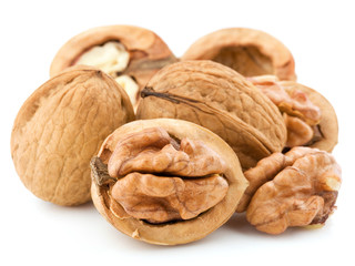 Walnuts isolated on white background. Studio macro