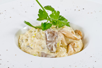 Bowl of mushroom risotto.