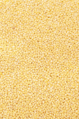 Millet background