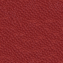 Seamless texture of a skin