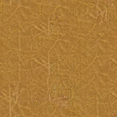 Fotobehang Naadloze textuur van een huid © injenerker