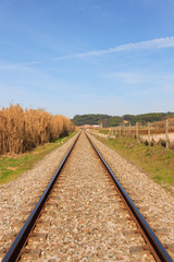 Landscape of an portuguese railway against forest and blue sky