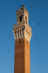 Fototapeta na wymiar Torre del Mangia - Palazzo Pubblico (Siena)