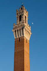 Fototapeta premium Torre del Mangia - Palazzo Pubblico (Siena)