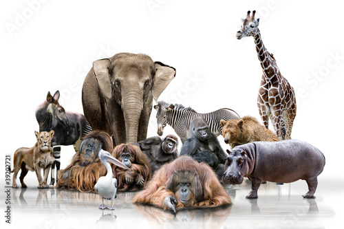 &quot;Wilde Tiere&quot; Stockfotos und lizenzfreie Bilder auf Bild