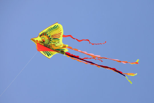 Dragon Kite