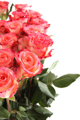 Bouquet of roses