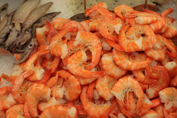 Shrimp