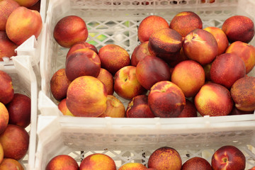 nectarines